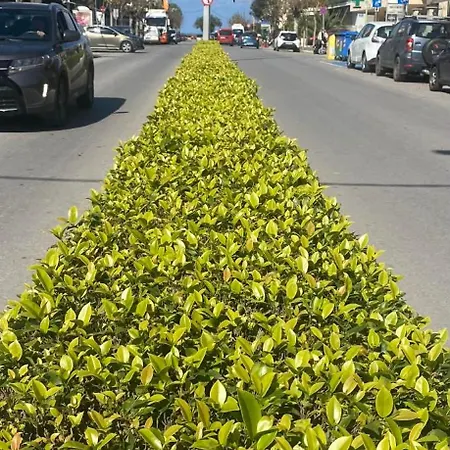 Διαμέρισμα Square *